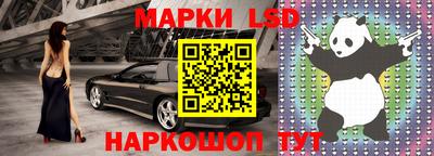 твердый Новодвинск