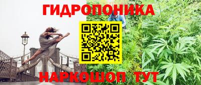 твердый Новодвинск