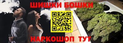 твердый Новодвинск