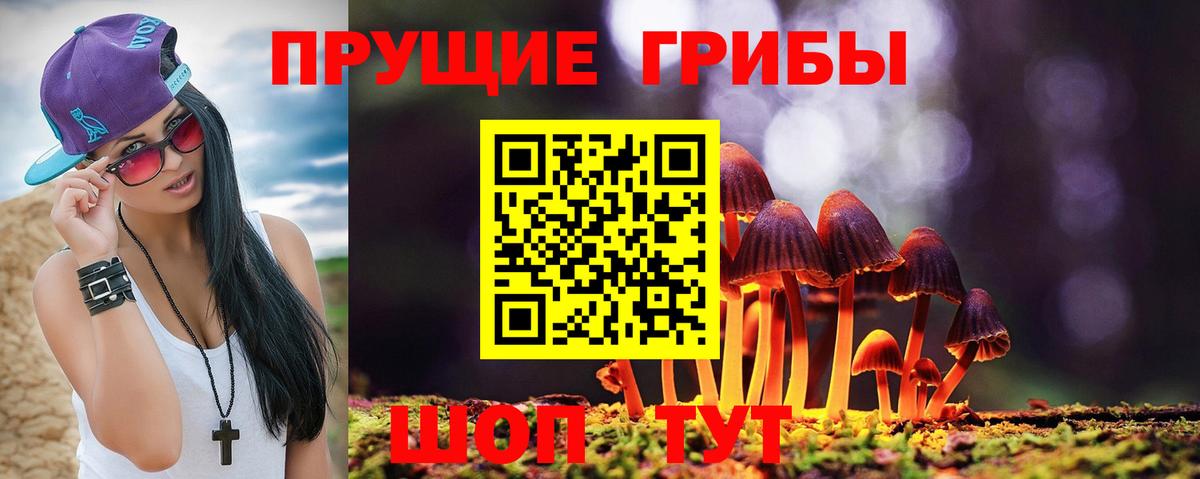 Пушкино  Галлюциногенные грибы мухоморы  где продают   Вход с VPN 